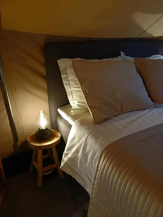 75M2 Indoor Glamping Scheveningen Apartment The Hague